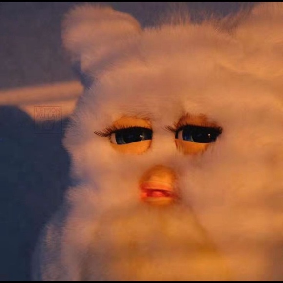 Meet your Posher, Christine - Picture 2 of 2